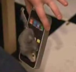 A Phony (But Funny!) iPhone Ad
